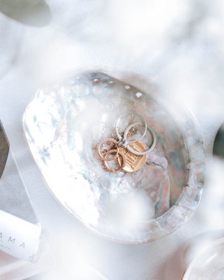 Perlemor Abalone skjell